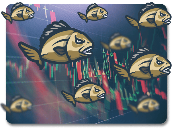 A school of piranhas swimming against the background of a trading chart